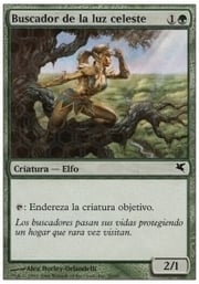 Cercatore di Cielguasto