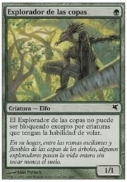 Treetop Scout · 02-05 02-05