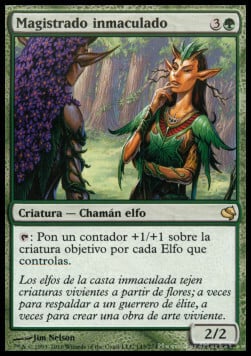 Immaculate Magistrate Card Front