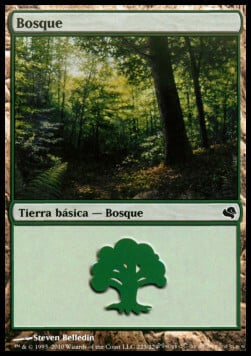 Foresta Card Front