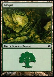 Forest · 224 224