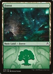 Forest · 76 076