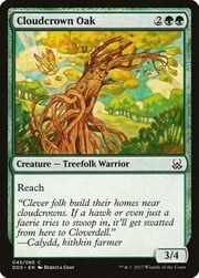 Cloudcrown Oak 045