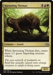 Sprouting Thrinax 189
