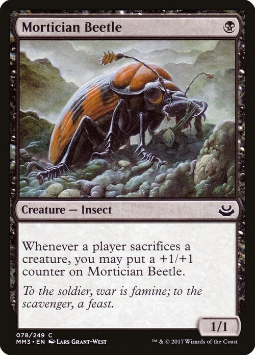 Escarabajo funerario Frente