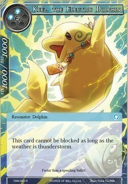 Keez, the Electric Dolphin Card Front