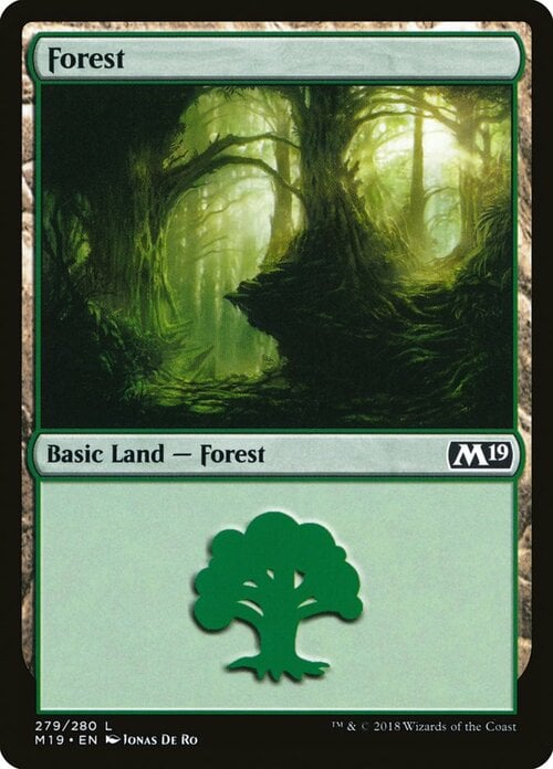 Forest Card Front