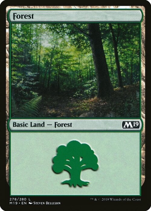 Bosque Frente
