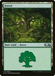 Forest · 277 277