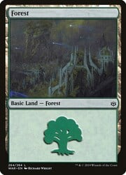 Forest · 264 264
