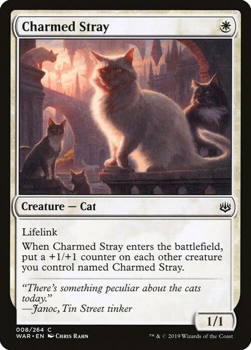 Charmed Stray Card Front