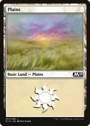 Plains · 263 263