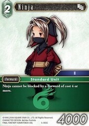 Ninja (5-065)