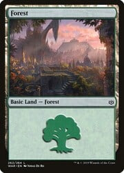 Forest · 262 262