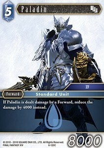 Paladin (6-120) Card Front