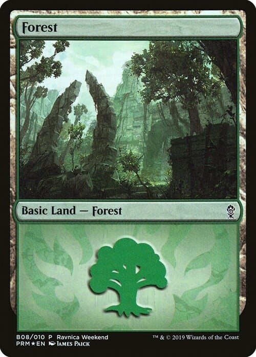 Forest Card Front
