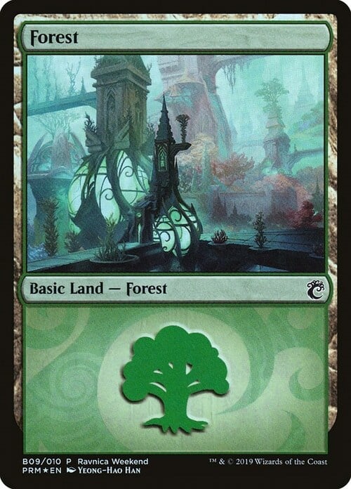 Forest Card Front