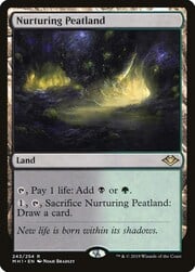 Nurturing Peatland 243