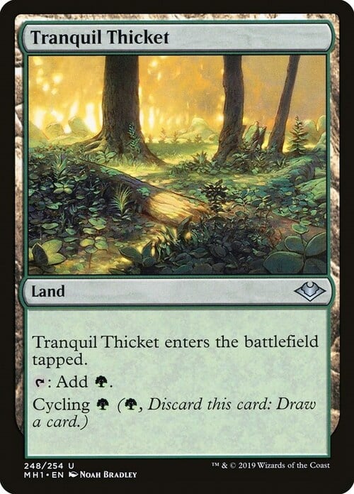 Tranquil Thicket Card Front