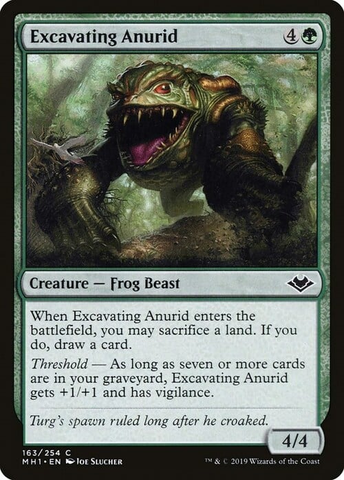 Excavating Anurid Card Front