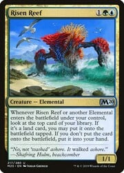 Risen Reef 217