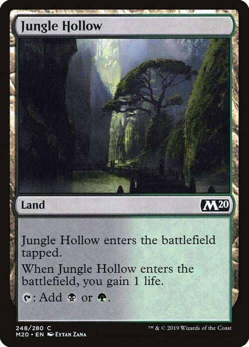 Jungle Hollow Card Front
