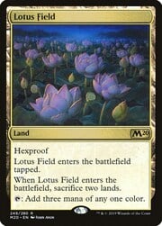 Lotus Field 249