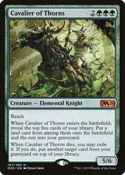 Cavalier of Thorns 167
