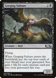 Gorging Vulture 102