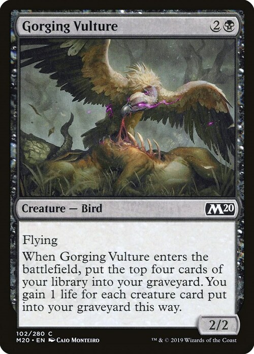 Gorging Vulture Card Front