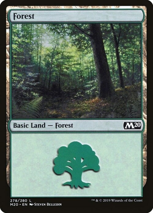 Forest Card Front