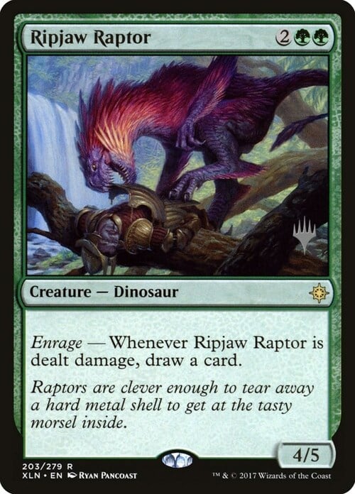 Raptor Squartamascella Card Front