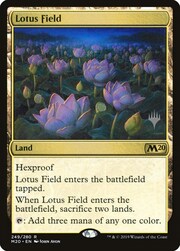 Lotus Field 249
