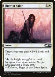 Show of Valor 311