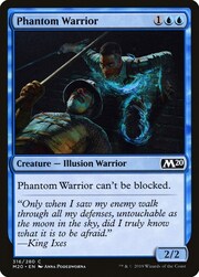 Phantom Warrior 316