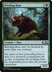 Bristling Boar 338