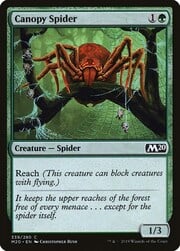 Canopy Spider 339