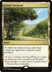 Exotic Orchard 242