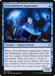 Overwhelmed Apprentice 060