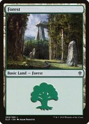 Forest · 269 269