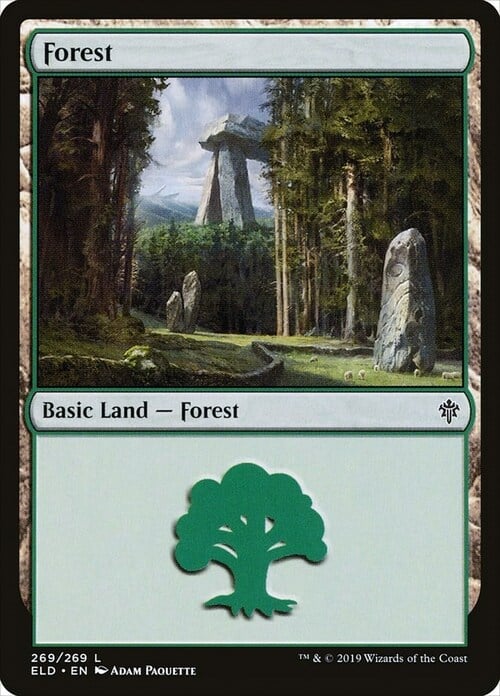 Forest Card Front