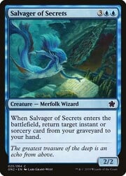 Salvager of Secrets 025