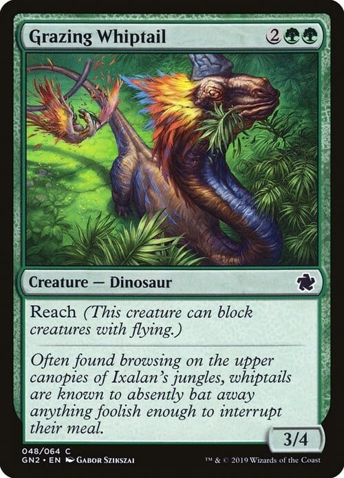 Grazing Whiptail Card Front