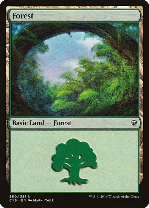 Forest Card Front