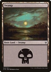 Swamp · 343 343