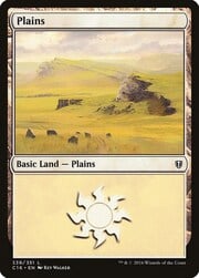 Plains · 339 339