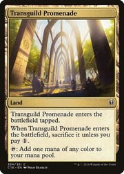 Transguild Promenade 334