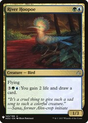 River Hoopoe 143
