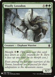 Woolly Loxodon 158