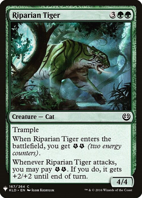 Riparian Tiger Card Front